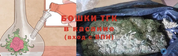 spice Богданович
