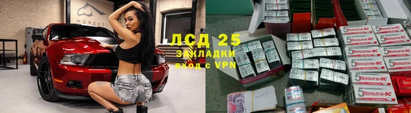spice Богданович