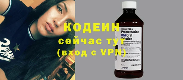 spice Богданович