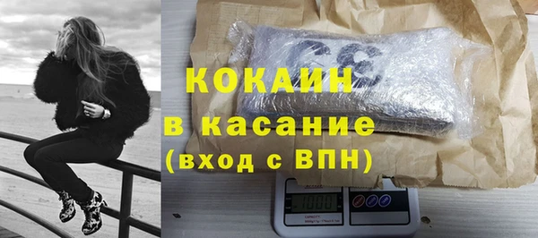 spice Богданович